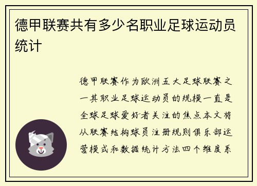 德甲联赛共有多少名职业足球运动员统计